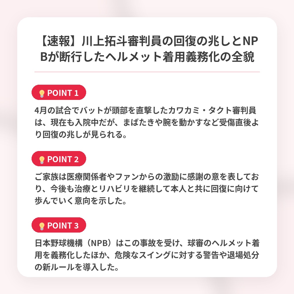 【速報】川上拓斗審判員の回復の兆しとNPBが断行したヘルメット着用義務化の全貌の注目ポイントまとめ